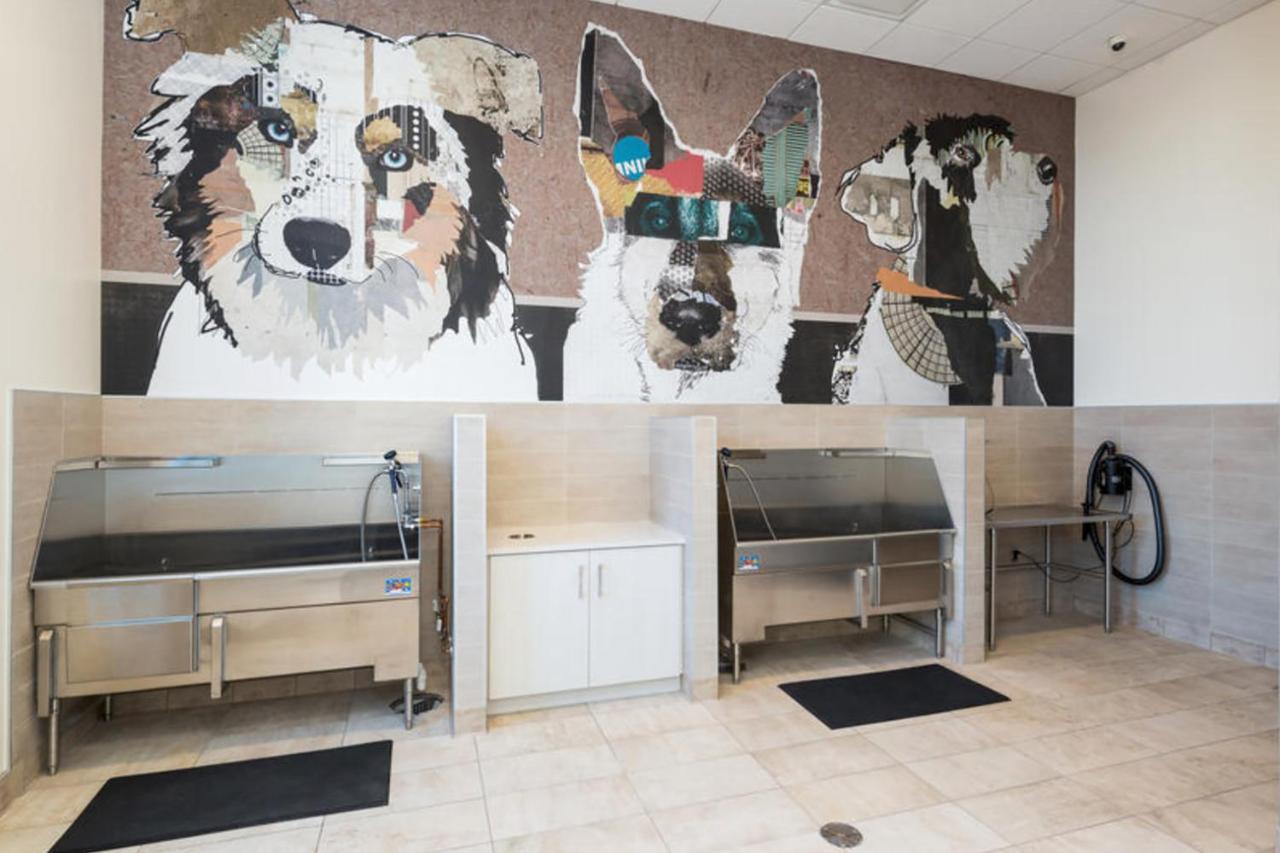 Five Points 1br W Wd Gym Roof Lounge Nr Rino Den-77 * Denver